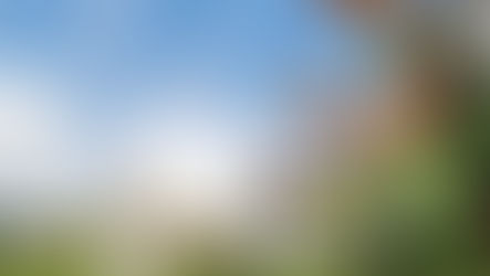 How to Choose the best Pest Control Service?