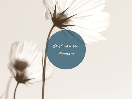 Een brief schrijven aan een dierbare is nuttig