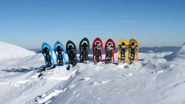 Ciaspole colorate sulla neve: attrezzatura invernale InMountain Guides