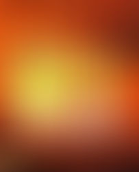 Everglades - R.J. Ellory