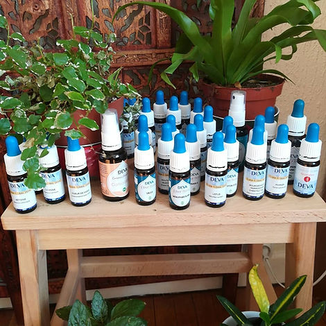 naturopathie grenoble