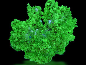 Hyalite-Coated Chalcedony and Fluorite, SK Star Claim #2, Juab Co., Utah