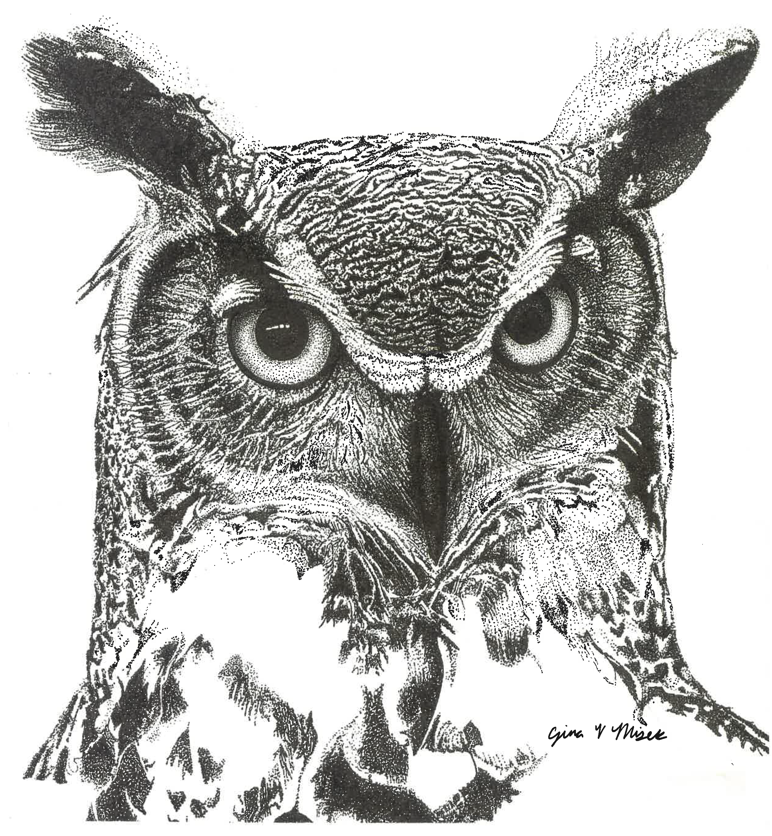 Owl
