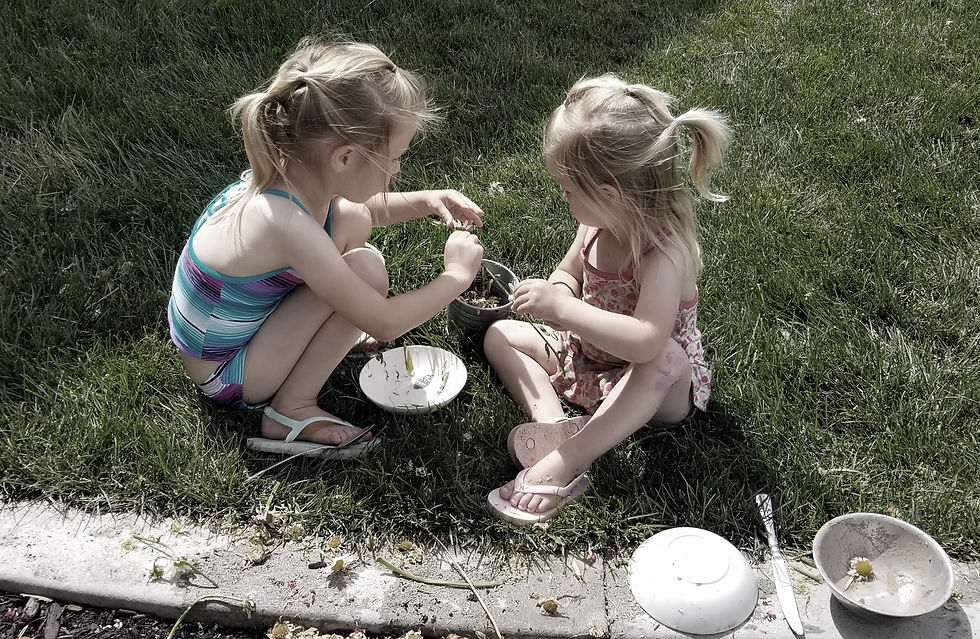 20200612_110440 online2.jpg