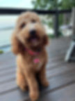 Sadie