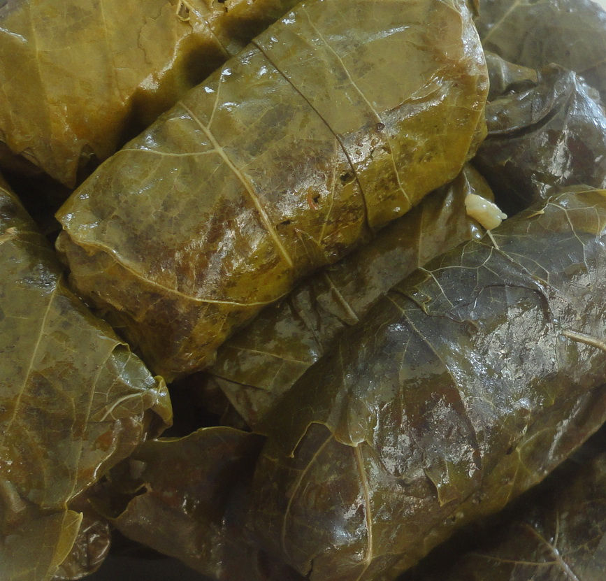 stuffed vine leaves dolmades
