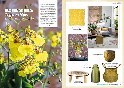 Blyde - Intratuin Groensteboekje_0710.jp