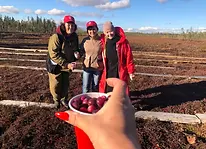 брусника 5.jpg