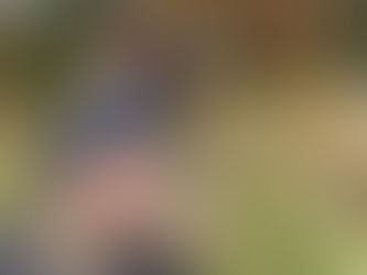 Samen in beweging in Rijkevorsel dankzij een nieuwe beweegroute