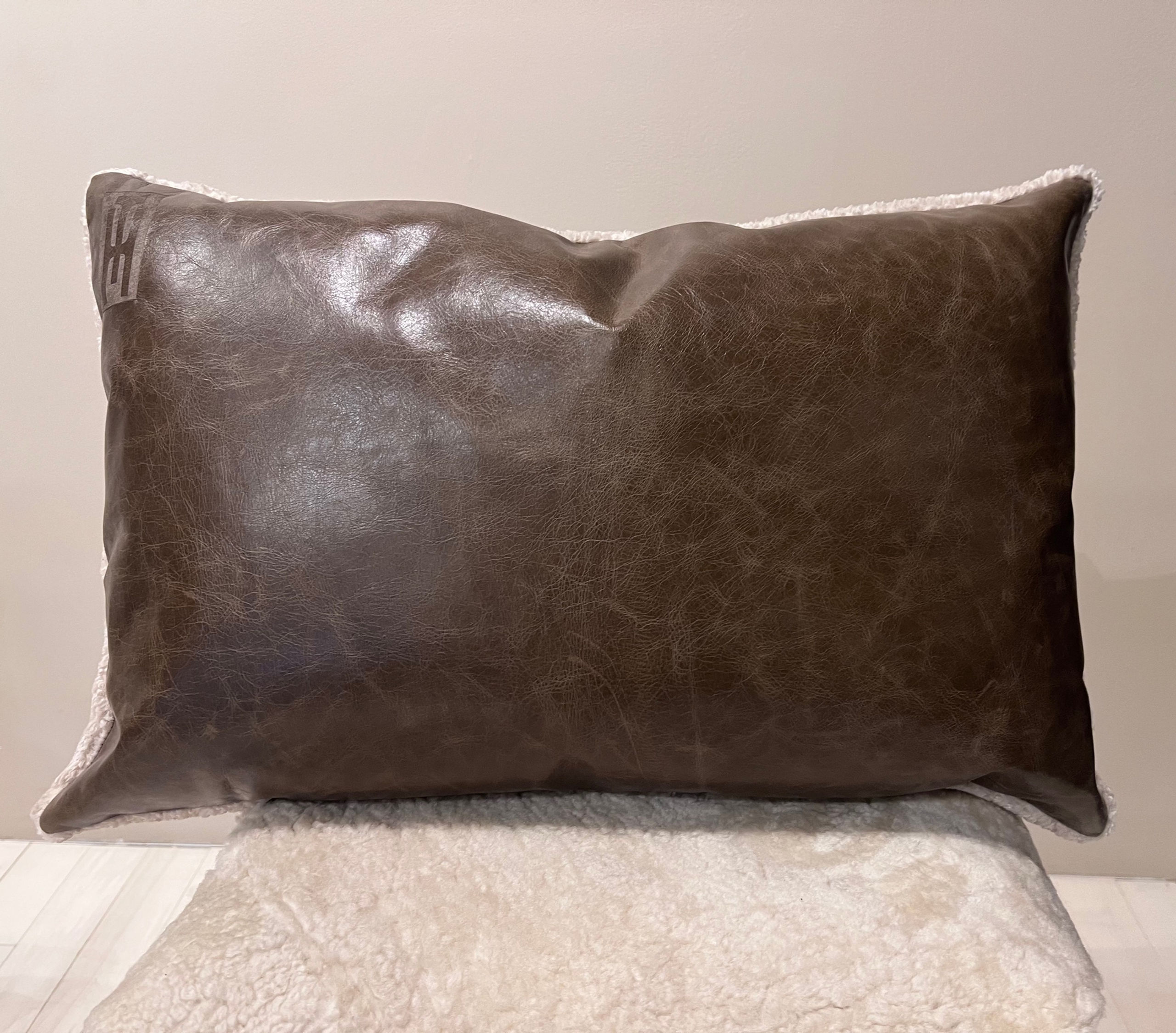 Thomas Hayes Throw Pillow - 006