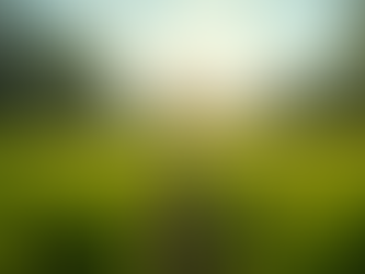 The Importance of Sustainable Land Management