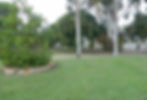 side yard.JPG