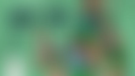 Matchs seniors filles