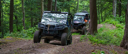 UTV in the Woods.jpeg
