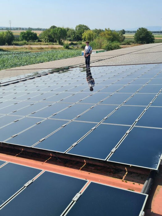 Mann begutachtet Solarmodule auf einem Dach