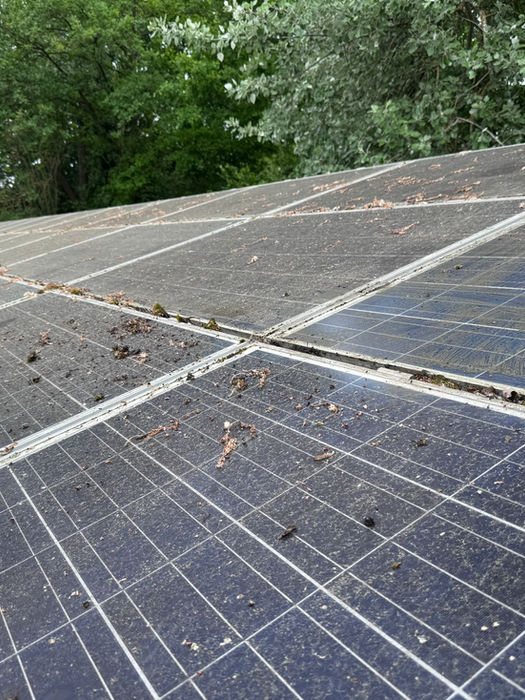 Reinigung verschmutzter Solarmodule