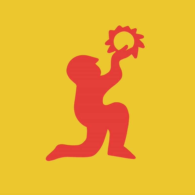 slf 23