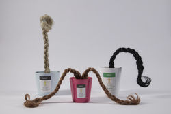Best Installation Award: Growing