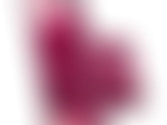 Motorola Razr Plus Review: Is Foldable Convenience Worth the Price?