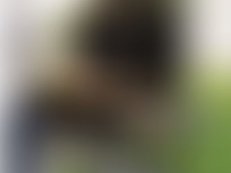 Flat Top Grilling Mastery: Why the Blackstone 36" Griddle Station Is the Best Outdoor Cooking Upgrade for 2025