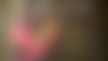 The Light Eaters - Open our Eyes to Endless Possibilities