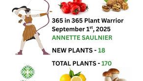 PLANT WARRIOR AWARD ANNOUNCEMENT & A New Plant Tracker 