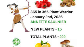 PLANT WARRIOR AWARD ANNOUNCEMENT & A New Plant Tracker - January 2nd, 2026