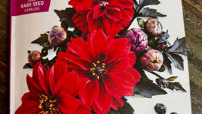 365 IN 365 - The Seed Catalogs Are Here!