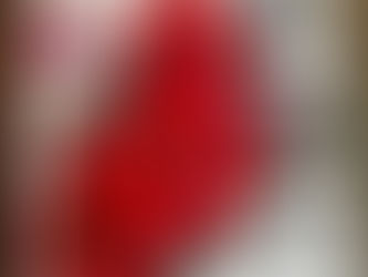 365 IN 365 - The Seed Catalogs Are Here!