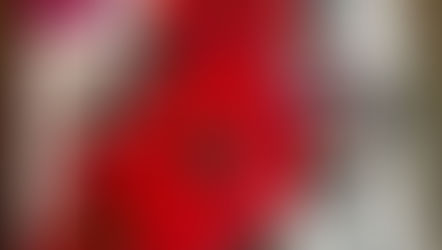 365 IN 365 - The Seed Catalogs Are Here!