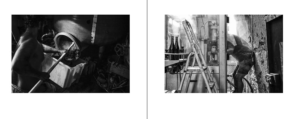 Miniature : LIFE IN MONOCHROME