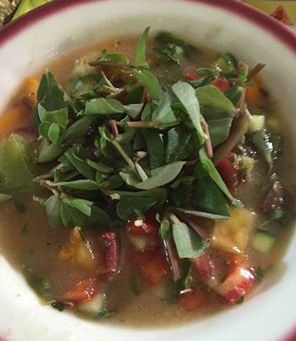 Purslane Gazpacho: Wild Eating!