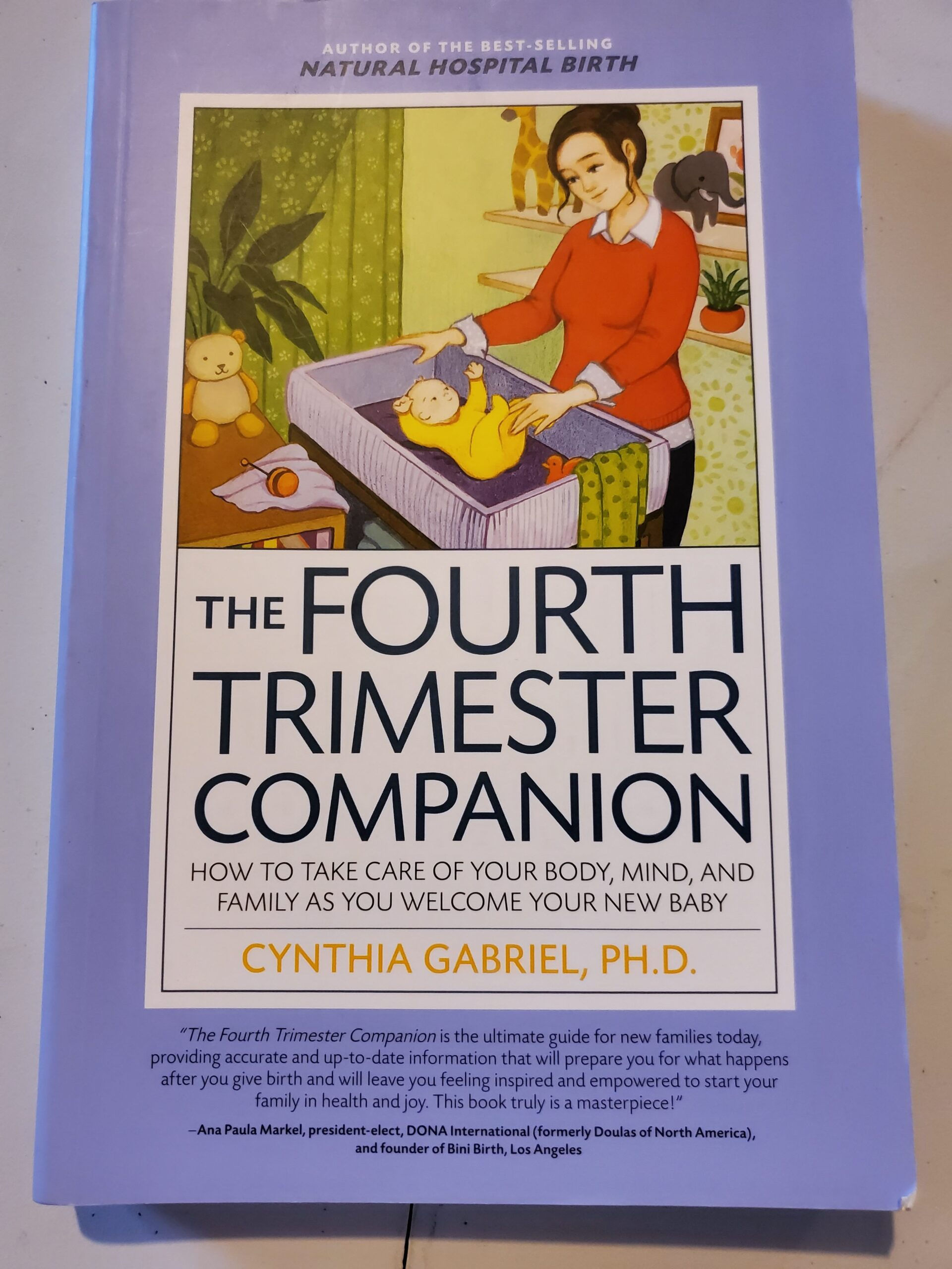 The Fourth Trimester Companion