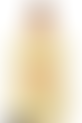 Model wearing yellow crochet cropped shirt