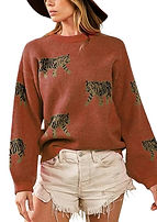 Amazon Generic - Women's Tiger Print Oversized Knit Sweater.jpg