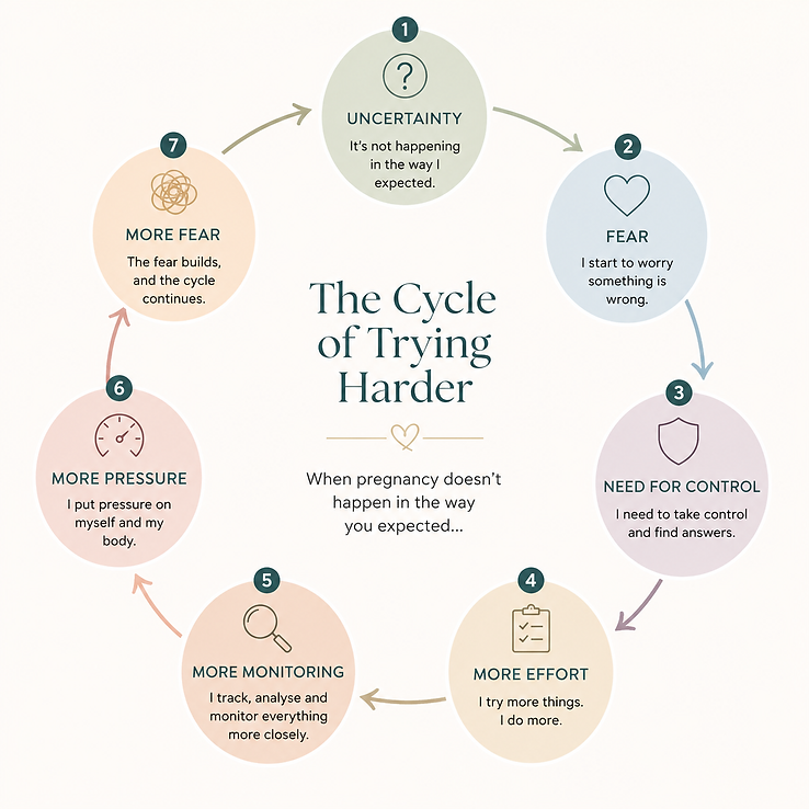 the cycle of trying to conceive