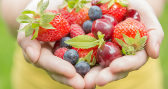 Screen Shot 2020-03-26 at 10.33.39 AM.pn