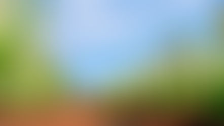 9 Herbs to Fight Arthritis Pain