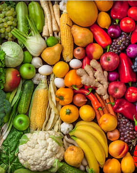 Screen Shot 2020-04-04 at 11.16.10 AM.pn