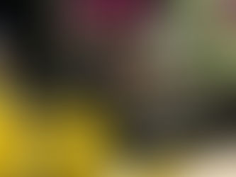 2019 Brings Blogging, Tweeting, and CBD