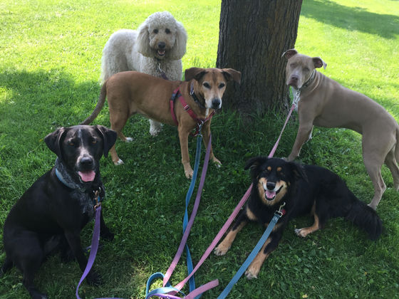 Thursday Pack Activities