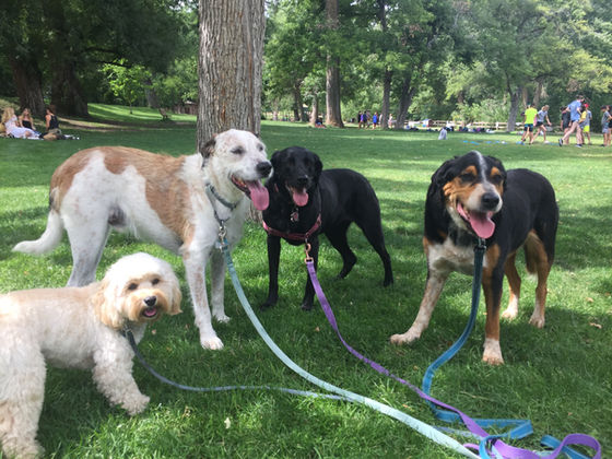 Thursday Pack Activities