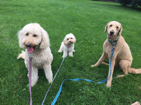 Monday Pack Activities