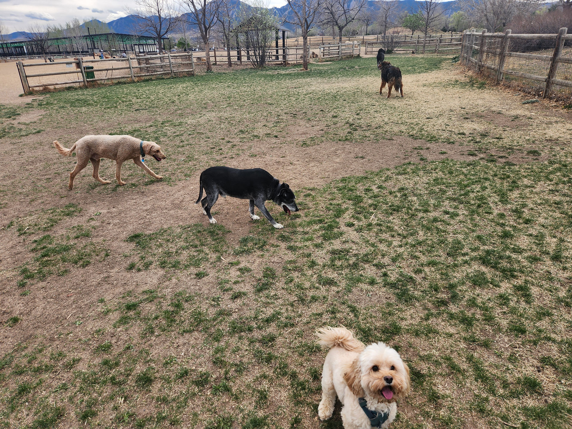 Milo, Dylan, Carl, Tozai