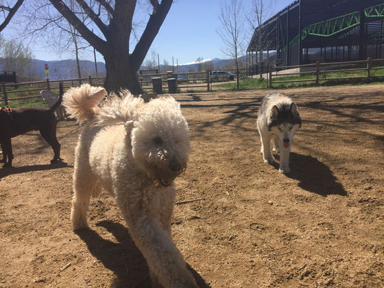 Wednesday Pack Activities