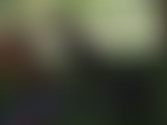 Monday Pack Activities