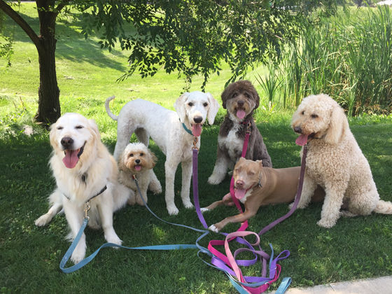 Wednesday Pack Activities