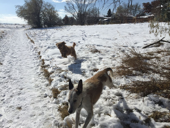 Friday Pack Activities