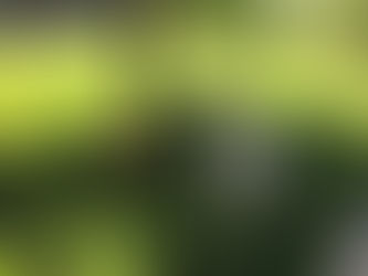 Thursday Pack Activities