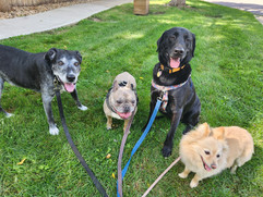 Tozai, Lou, Nelly, Yoshi